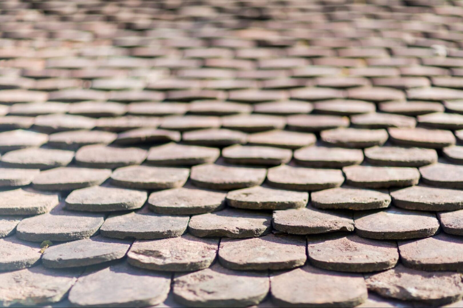 Close view of roof tiles. 