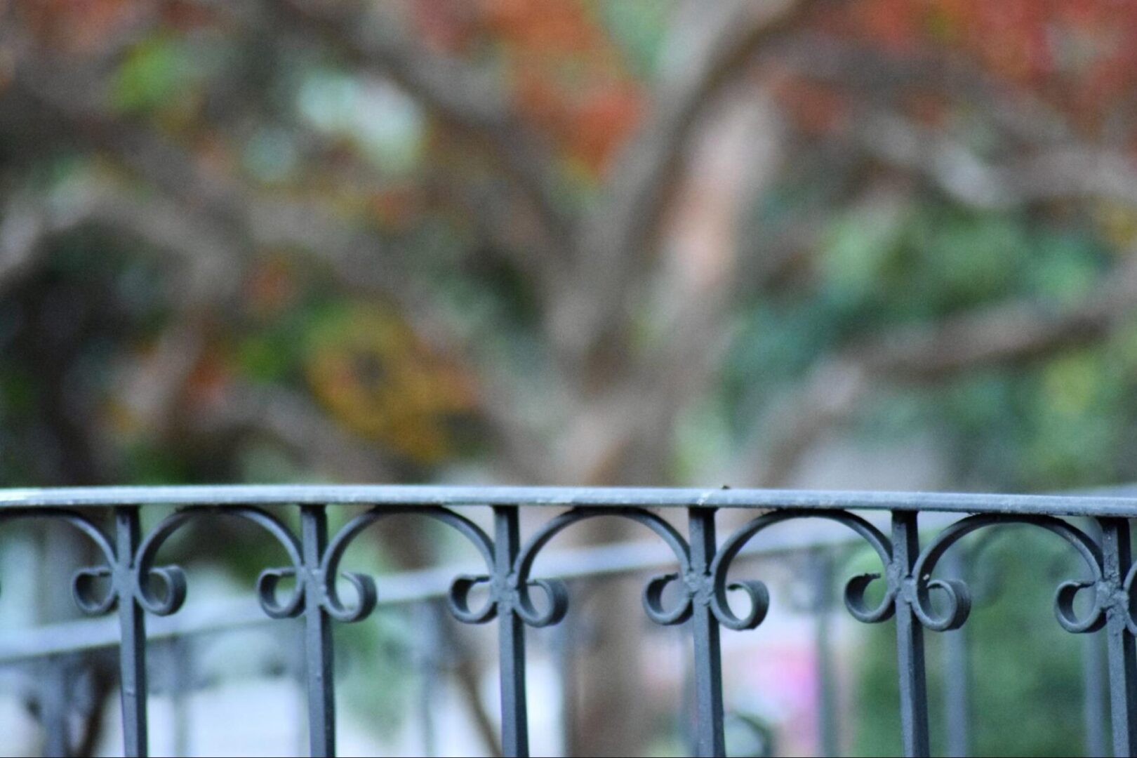 Close view of an ornamental metal fence. 