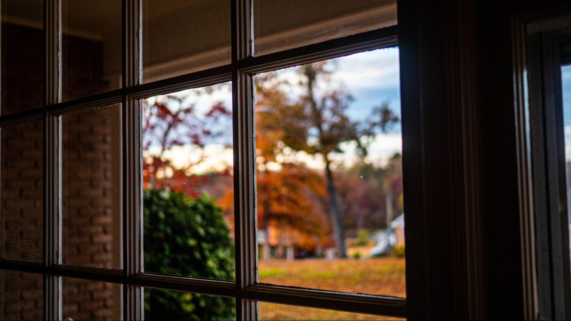 Residential windows with trees in the background. 